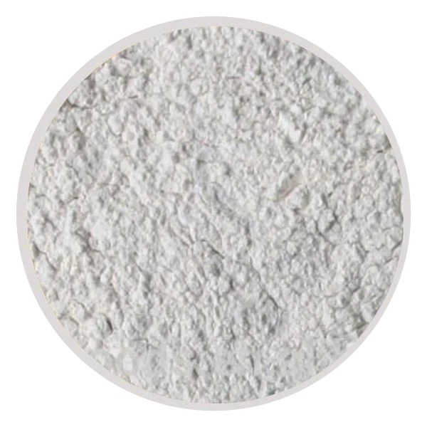 White onion powder