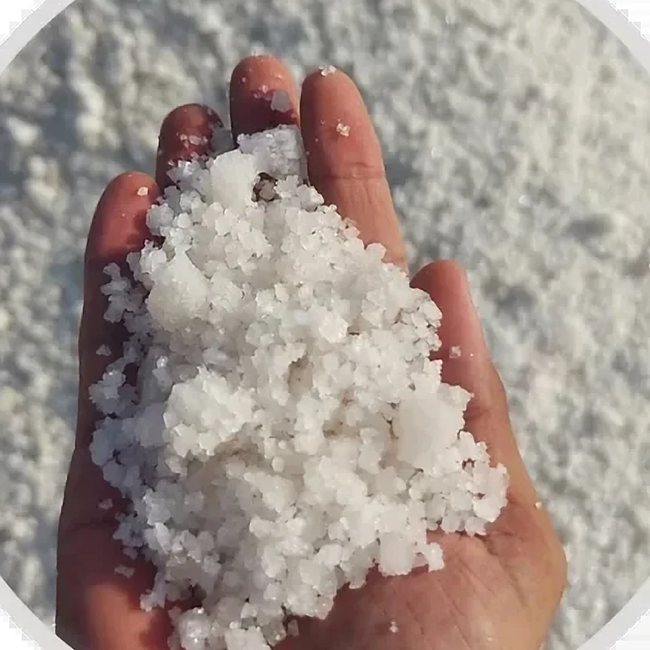 Edible salt